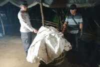 Polisi bongkar lokasi judi sabung ayam