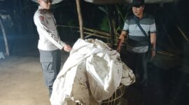 Polisi bongkar lokasi judi sabung ayam