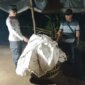 Polisi bongkar lokasi judi sabung ayam