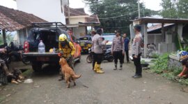 Polres Trenggalek libatkan anjing pelacak cari korban longsor
