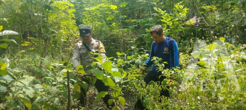 Bhabinkamtibmas Polsek Nganjuk Kota cek lahan pekarangan warga