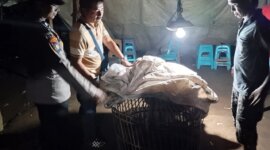 Arena judi sabung ayam di bongkar Polisi