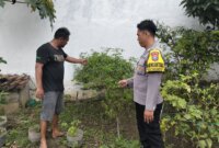 Bhabinkamtibmas Polsek Prambon tinjau pekarangan warga