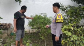 Bhabinkamtibmas Polsek Prambon tinjau pekarangan warga