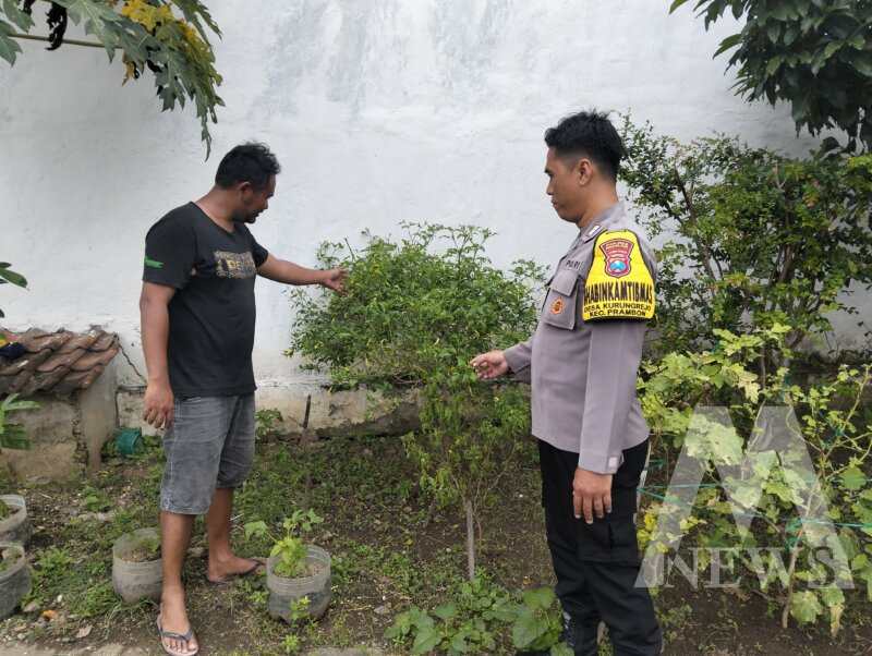 Bhabinkamtibmas Polsek Prambon tinjau pekarangan warga
