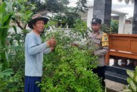 Bhabinkamtibmas Polsek Sawahan cek pekarangan warga