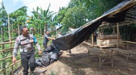 Polisi bongkar arena judi sabung ayam