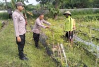 Polsek Rejoso tinjau lahan pekarangan warga di Desa Talang
