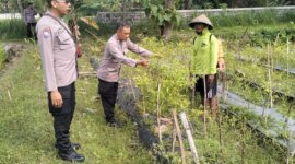 Polsek Rejoso tinjau lahan pekarangan warga di Desa Talang