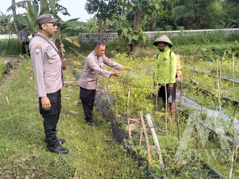 Polsek Rejoso tinjau lahan pekarangan warga di Desa Talang