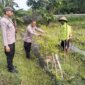 Polsek Rejoso tinjau lahan pekarangan warga di Desa Talang