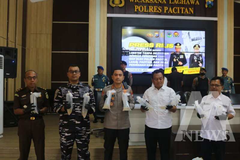 Polres Pacitan gagalkan penyelundupan Benur Ilegal