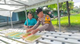 Bhabinkamtibmas bersama warga kembangkan tanaman Hidroponik