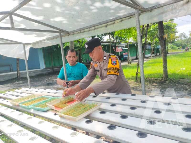 Bhabinkamtibmas bersama warga kembangkan tanaman Hidroponik