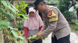 Bhabinkamtibmas Desa Senjayan cek pekarangan warga