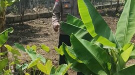 Bhabinkamtibmas Polsek Gondang cek pekarangan di Senjayan