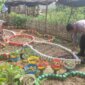 Bhabinkamtibmas Polsek Bungah cek lahan pekarangan warga