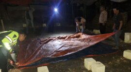 Polisi bongkar tempat Judi Sabung Ayam