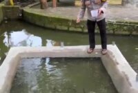 Polsek Gondang manfaatkan lahan kosong dukung ketahanan pangan