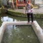 Polsek Gondang manfaatkan lahan kosong dukung ketahanan pangan