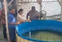 Polsek Duduksampeyan sambangi kolam budidaya lele milik warga