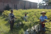 Polsek Nganjuk Kota cek lahan pekarangan warga