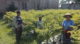 Polsek Nganjuk Kota cek lahan pekarangan warga