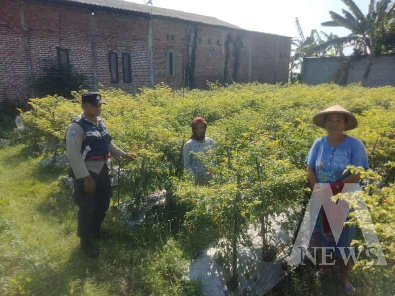 Polsek Nganjuk Kota cek lahan pekarangan warga