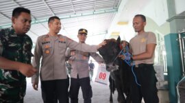 Wakapolres Gresik Kompol Danu Anindhita Kuncoro Putro serahkan hewan qurban