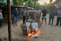 Polres Nganjuk bongkar lokasi sabung ayam