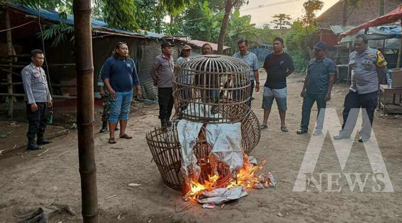 Polres Nganjuk bongkar lokasi sabung ayam