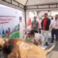 KAI Commuter berbagi hewan qurban ke masyarakat