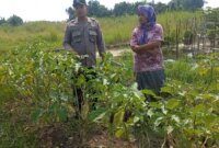 Polsek Cerme tinjau pekarangan warga