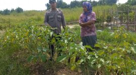 Polsek Cerme tinjau pekarangan warga