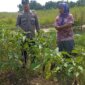Polsek Cerme tinjau pekarangan warga
