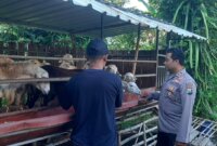 Polsek Ngluyu sambangi peternakan kambing warga