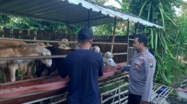 Polsek Ngluyu sambangi peternakan kambing warga