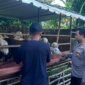 Polsek Ngluyu sambangi peternakan kambing warga