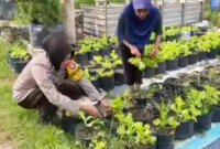 Bhabinkamtibmas Polsek Warujayeng cek pemanfaatan lahan warga