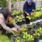 Bhabinkamtibmas Polsek Warujayeng cek pemanfaatan lahan warga