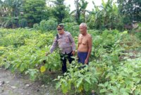 Kapolsek Patianrowo AKP Edy Suwanda sambangi warga