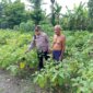 Kapolsek Patianrowo AKP Edy Suwanda sambangi warga