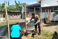 Bhabinkamtibmas Polsek Warujayeng tinjau budidaya ayam semi umbaran