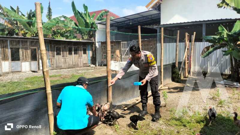 Bhabinkamtibmas Polsek Warujayeng tinjau budidaya ayam semi umbaran