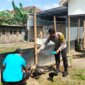 Bhabinkamtibmas Polsek Warujayeng tinjau budidaya ayam semi umbaran