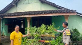 Bhabinkamtibmas tinjau lahan pekarangan tanaman cabai warga
