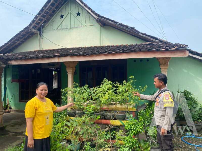 Bhabinkamtibmas tinjau lahan pekarangan tanaman cabai warga