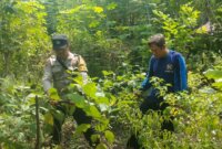 Bhabinkamtibmas cek lahan pekarangan warga