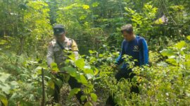 Bhabinkamtibmas cek lahan pekarangan warga
