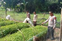 Bhabinkamtibmas Polsek Berbek tinjau lahan pekarangan warga